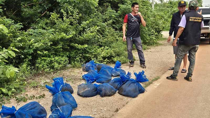 Phát hiện 25 chiếc túi lạ trong rừng, sửng sốt khi mở ra kiểm tra Ảnh 1