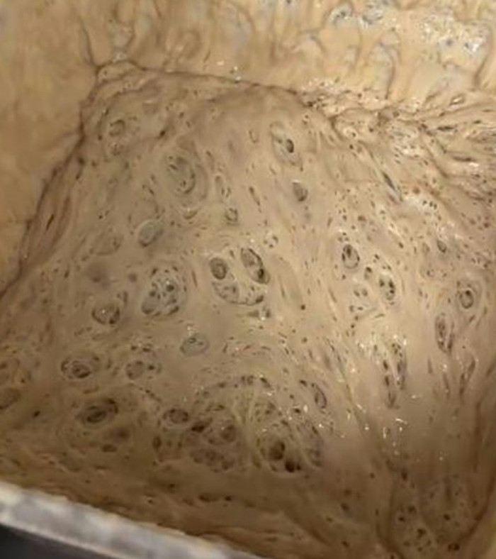 Lạ lùng loài 'thú cưng' mới được giới trẻ thi nhau nuôi, lúc chán dùng luôn để nấu ăn Ảnh 1