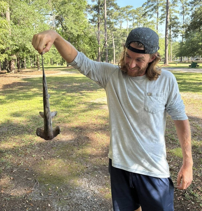 Cá mập rơi từ trên trời xuống khiến người dân xôn xao Ảnh 2