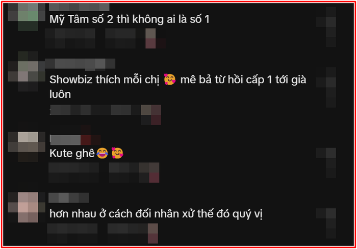 Nức lòng hành động của Mỹ Tâm với khán giả đặc biệt Ảnh 4