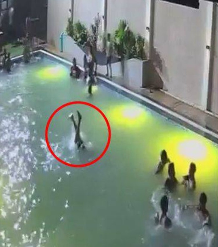 Xôn xao đoạn clip thanh niên chết đuối ở hồ bơi, xung quanh có nhiều người nhưng không ai cứu Ảnh 3