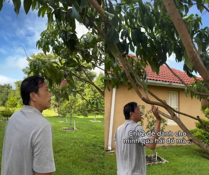 Nam nghệ sĩ tận hưởng cuộc sống bình yên, kín tiếng hơn so với trước đây. (Ảnh từ TikTok Dương Triệu Vũ)