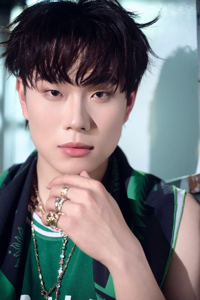 Bảo vệ 'hộ tống' nam ca sĩ Việt ngoài đường, xô đẩy khán giả gây bức xúc Ảnh 3