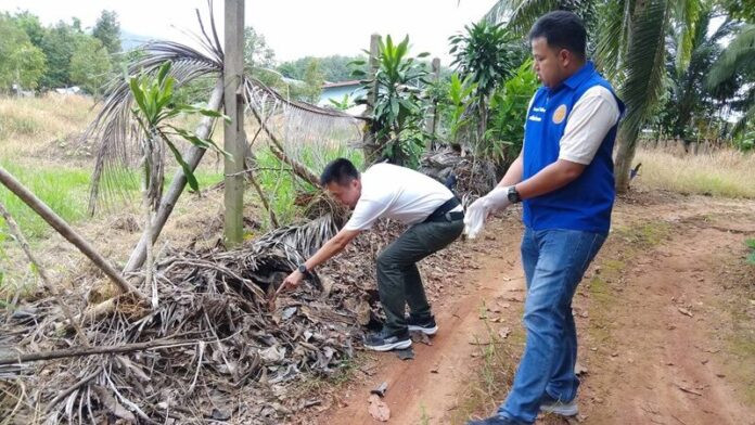 Chó tha 5 hộp hàng lạ về, người dân sửng sốt sau khi kiểm tra bên trong Ảnh 2