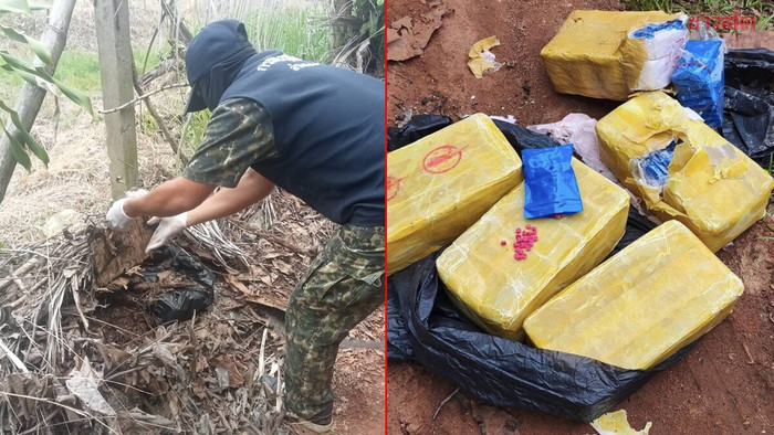 Chó tha 5 hộp hàng lạ về, người dân sửng sốt sau khi kiểm tra bên trong Ảnh 3