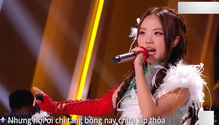 Phương Mỹ Chi chinh phục cả khán giả trong nước và quốc tế. Ảnh: Chụp màn hình từ YouTube Phương Mỹ Chi