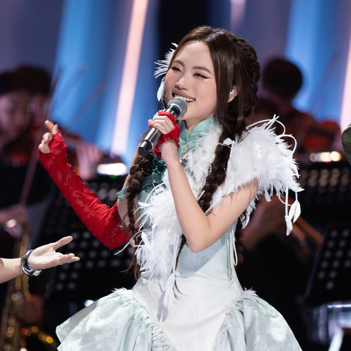 Phương Mỹ Chi đã 'đốn tim' nhiều khán giả vì quyết định đưa cải lương lên sân khấu quốc tế. Ảnh: FBNV