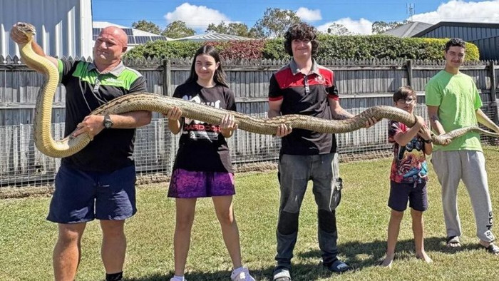 Con 'quái vật' dài hơn 5 mét, nặng gần 27 ký đột nhập vào nhà khiến gia đình khiếp sợ Ảnh 2