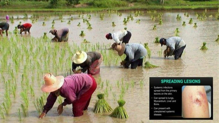 Ảnh: Bangkok Post.