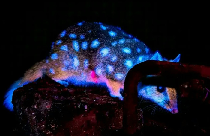 Ảnh: IG @benjaminalldridge.