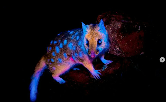 Ảnh: IG @benjaminalldridge.