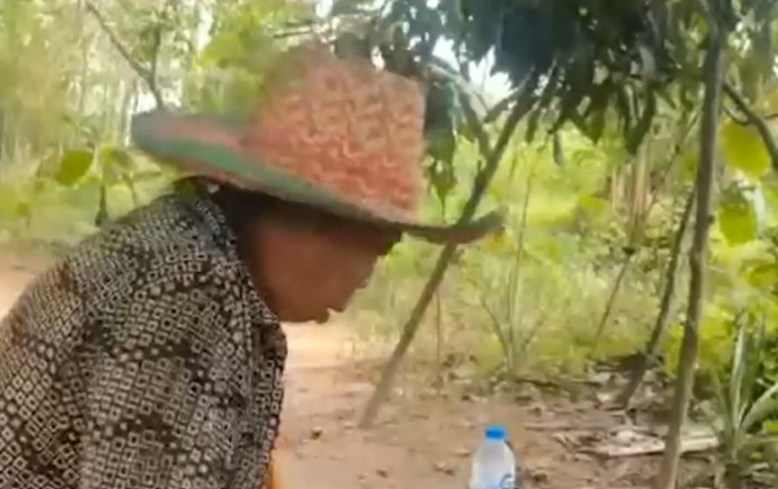 Bắt khẩn cấp bà cụ 70 tuổi bán trái cây sau khi kiểm tra giỏ hàng Ảnh 3