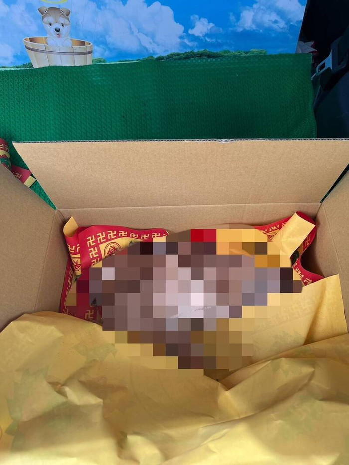 Thuê nhà nhưng không được gia hạn, người phụ nữ trả thù gây phẫn nộ Ảnh 2