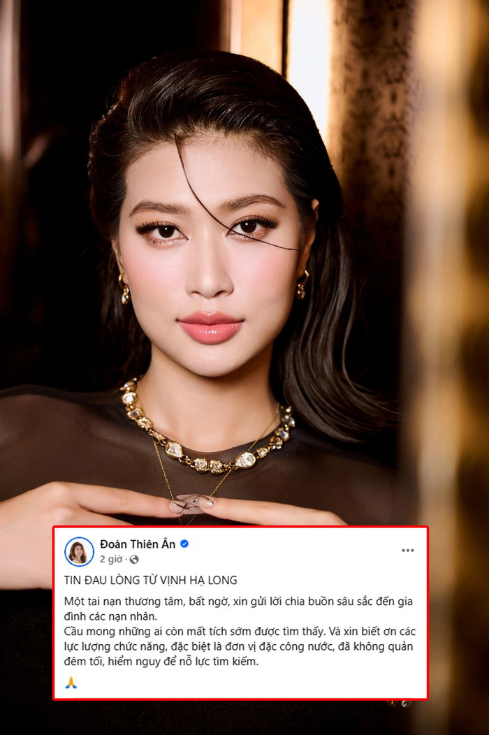 Đoàn Thiên Ân gửi lời chia buồn khi nghe tin lật tàu. (Ảnh FBNV)