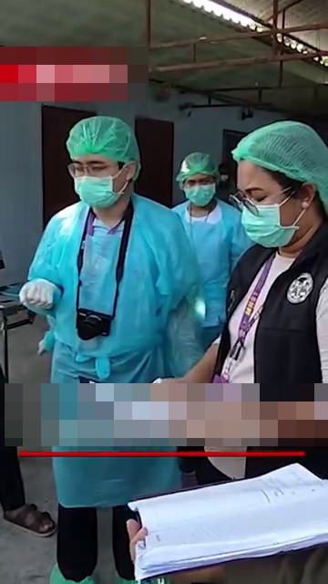 Chủ qua đời, hai con chó ở lại canh chừng thi thể suốt 4 ngày Ảnh 2