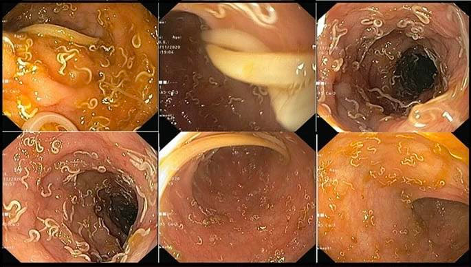 Ảnh: เอฟเอ็มซีคลินิกเวชกรรม