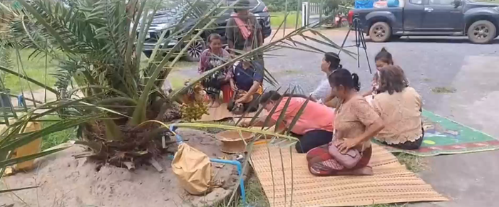 Cây chà là tám đầu gây xôn xao, người dân kéo nhau đến xem hiện tượng kỳ lạ Ảnh 2