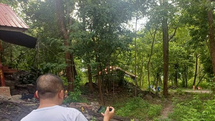 Nhà sư 75 tuổi bị hàng trăm con ong bắp cày đốt tử vong Ảnh 1