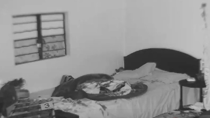 Ảnh chụp màn hình video clip trên Weibo.