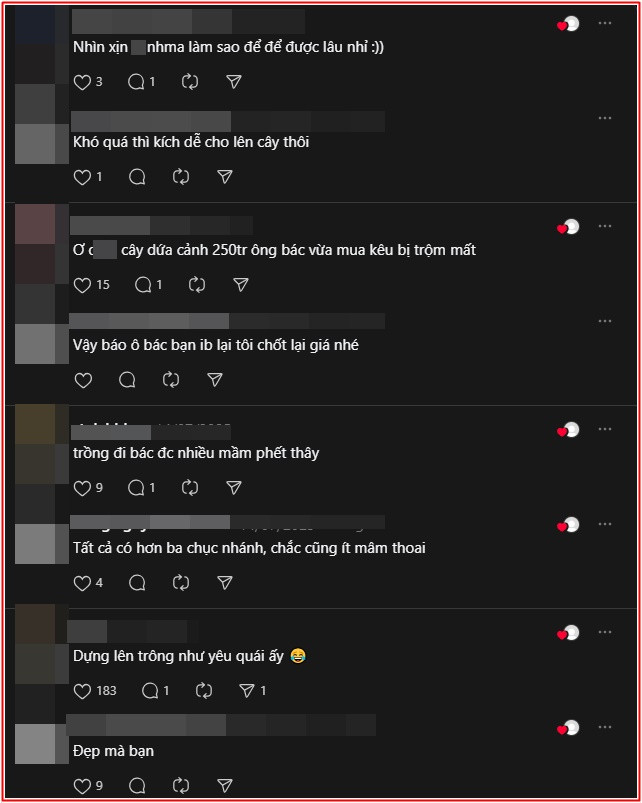 Quả dứa có hình dáng như con người khiến mạng xã hội xôn xao