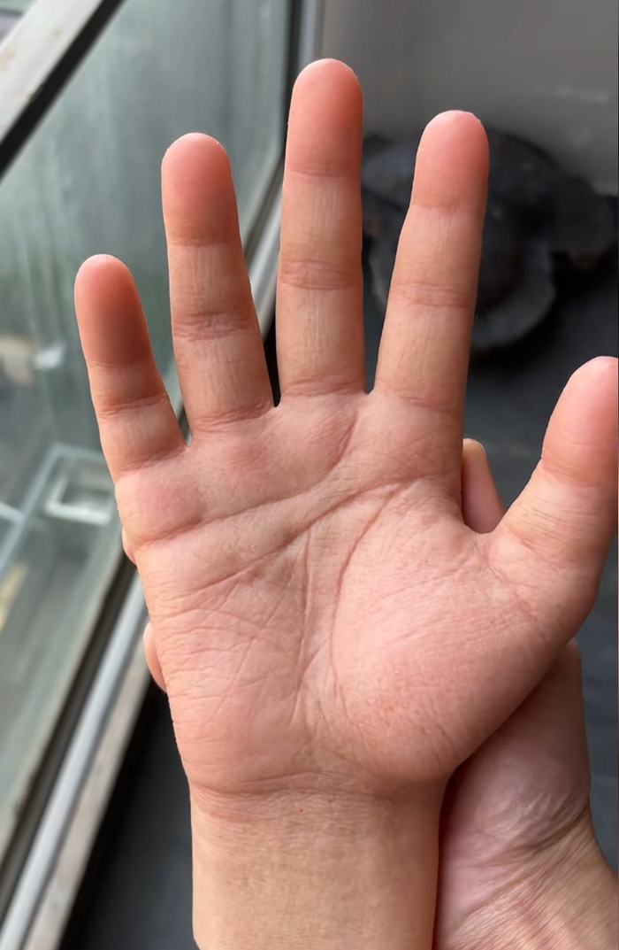 Bàn tay silicon có độ chân thực cao về bề mặt da và đầy đủ đường chỉ tay