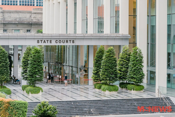 Nuôi 82 con chó poodle mà không có giấy phép, người phụ nữ 50 tuổi gặp rắc rối lớn Ảnh 2