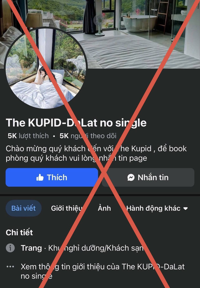 Một số fanpage mà các đối tượng làm giả nhằm chiếm đoạt tài sản của khách du lịch 