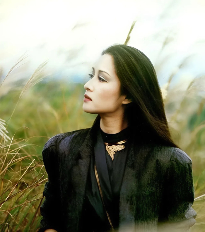 Khi đang ở đỉnh cao danh vọng, Hồ Nhân Mộng bất ngờ rút lui khỏi showbiz ở tuổi 33. (Ảnh Sohu)