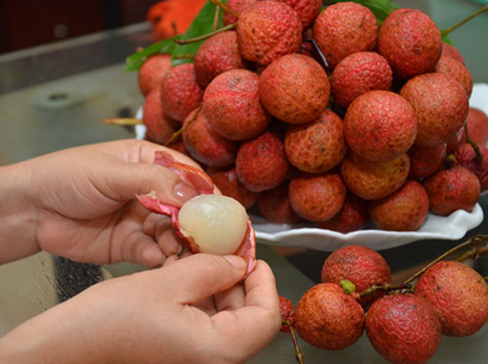 Không ít người tranh thủ sử dụng vải làm bữa ăn sáng khi quả này đang vào mùa vụ. Ảnh: Eva.vn