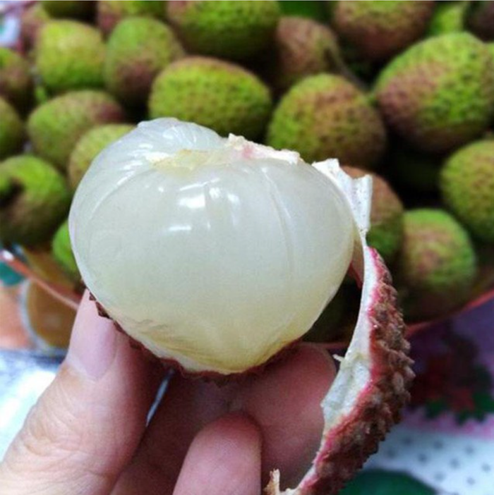 Dùng vải làm bữa ăn sáng có thể khiến cơ thể bốc hoả, mệt mỏi xuyên suốt một ngày dài. Ảnh: CafeF
