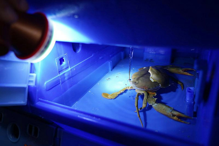 Ảnh: Visual China.