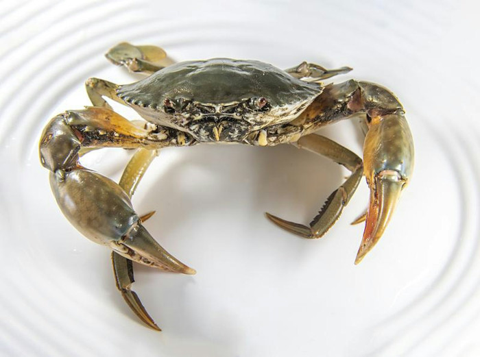 Ảnh: Visual China.