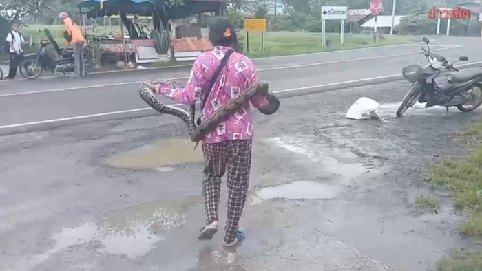 Clip: Người phụ nữ tay không bắt con trăn dài 2 mét giữa đường, ai xem cũng 'lạnh gáy' Ảnh 1