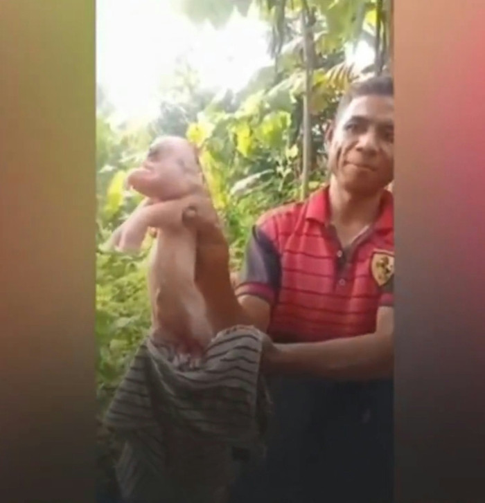 Nguồn: (X@radarafricacom)