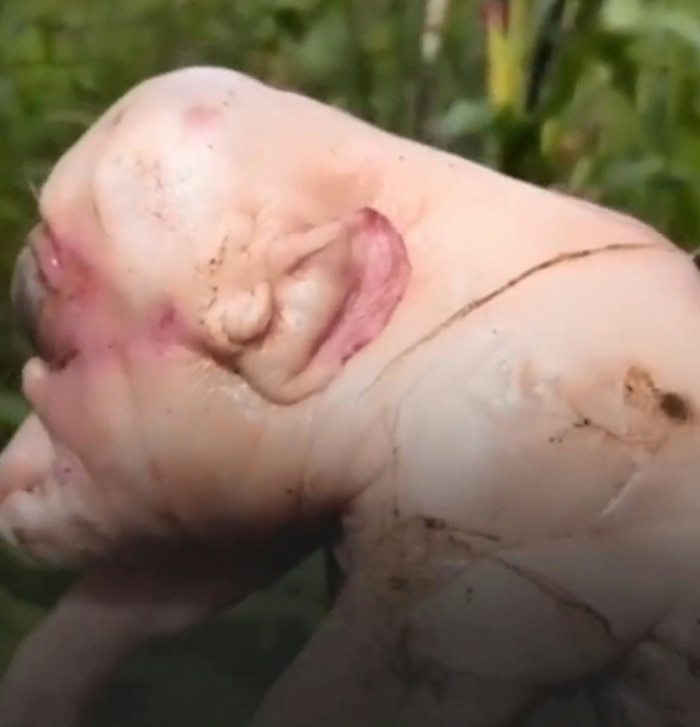 Nguồn: (X@radarafricacom)