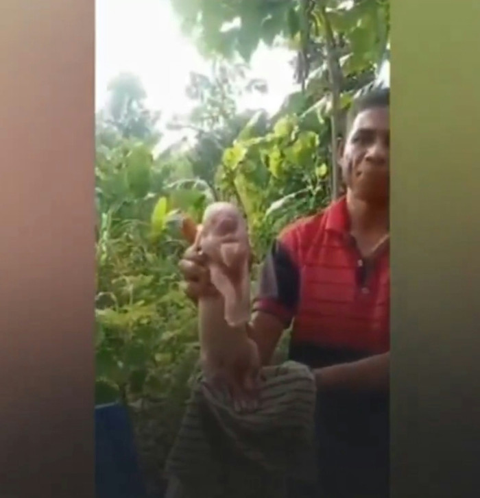 Nguồn: (X@radarafricacom)