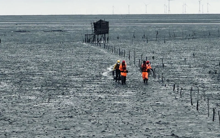 Cụ ông 74 tuổi mất tích khi đi cào hàu, người thân đau lòng sau ba ngày tìm kiếm Ảnh 1