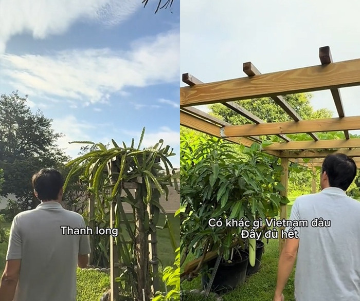 Vườn cây phong phú với đủ loại trái cây như xoài, na, mãng cầu, đu đủ, thanh long, táo đỏ, bầu, bí… khiến nhiều người trầm trồ, thích thú. (Ảnh chụp màn hình)