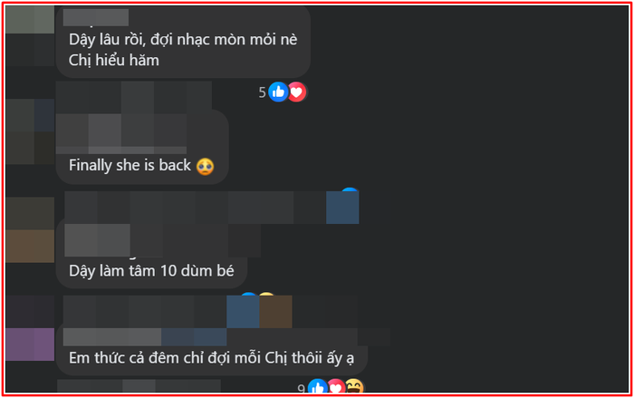 Mạng xã hội 'dậy sóng' vì Mỹ Tâm Ảnh 3