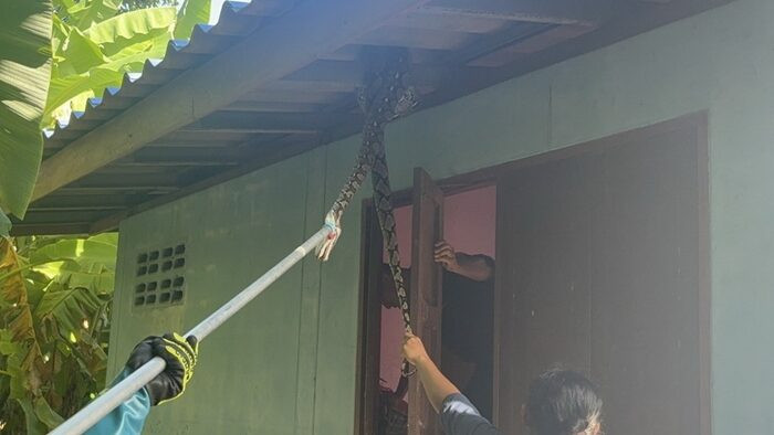 Cụ bà 74 tuổi thức trắng đêm sau khi thấy cảnh tượng kinh hoàng trong bếp Ảnh 3