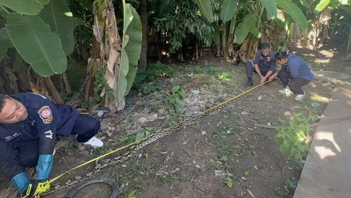 Cụ bà 74 tuổi thức trắng đêm sau khi thấy cảnh tượng kinh hoàng trong bếp Ảnh 4