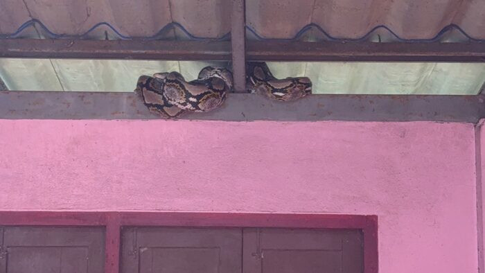 Cụ bà 74 tuổi thức trắng đêm sau khi thấy cảnh tượng kinh hoàng trong bếp Ảnh 2