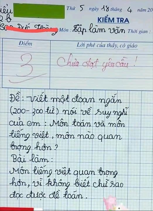 Bài văn đạt 3 điểm kèm lời phê 'chưa đạt yêu cầu' nhưng dân mạng lại tấm tắc khen ngợi Ảnh 1