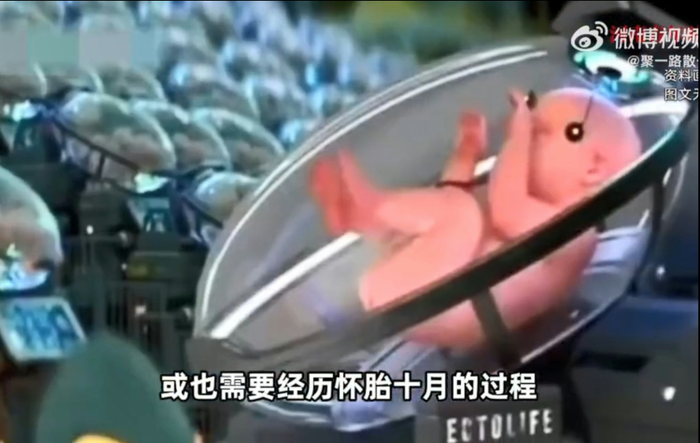 Trung Quốc chế tạo robot mang thai hộ con người với 'tử cung nhân tạo' Ảnh 4