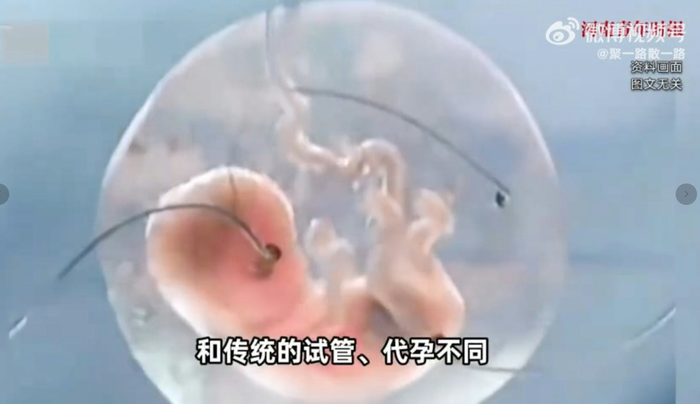 Trung Quốc chế tạo robot mang thai hộ con người với 'tử cung nhân tạo' Ảnh 5