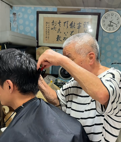 Ông cụ 1 mình nuôi hơn 300 chú chó mèo hoang nhờ vào tiền cắt tóc Ảnh 3