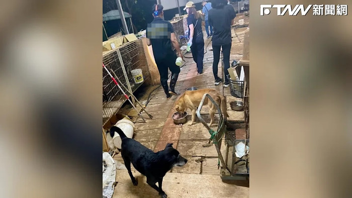 Đau lòng cảnh tượng tại một cơ sở nuôi chó, hơn 10 con chết khô trong lồng, sự thật gây phẫn nộ Ảnh 2