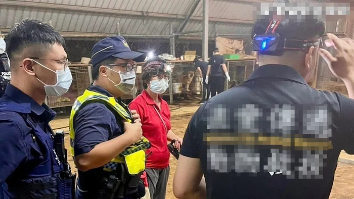 Đau lòng cảnh tượng tại một cơ sở nuôi chó, hơn 10 con chết khô trong lồng, sự thật gây phẫn nộ Ảnh 1