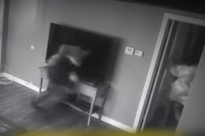 Trộm đột nhập, cô gái thoát chết trong gang tấc nhờ chú chó đã làm điều này Ảnh 2