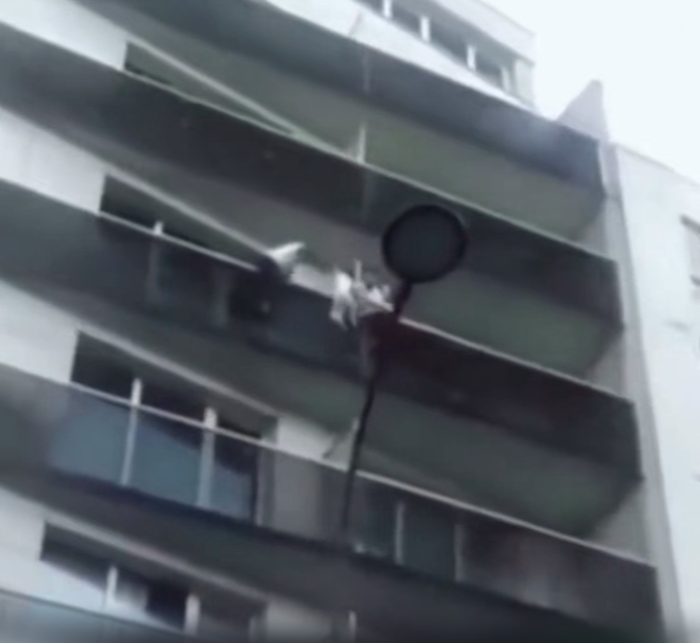 Nam thanh niên 'người nhện' gây sốt khi tay không leo tường cứu bé trai Ảnh 3